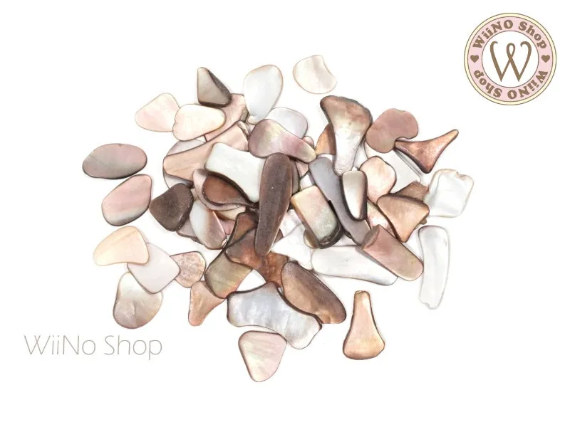 Flat Shell Natural Gemstones