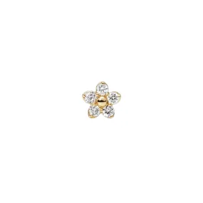 MBF Daisy 5 Stud, 14k Yellow Gold